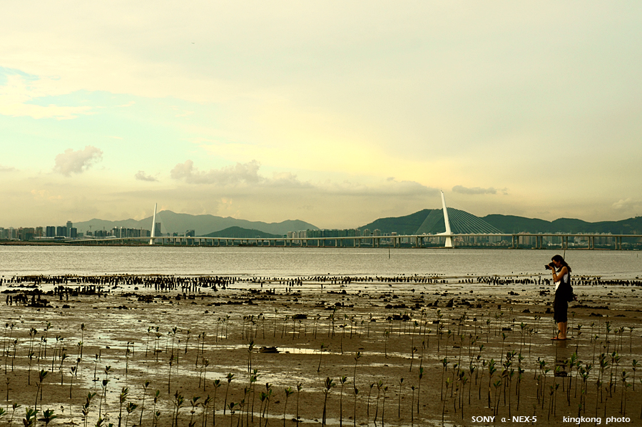 _DSC0443.JPG - SONY DSC