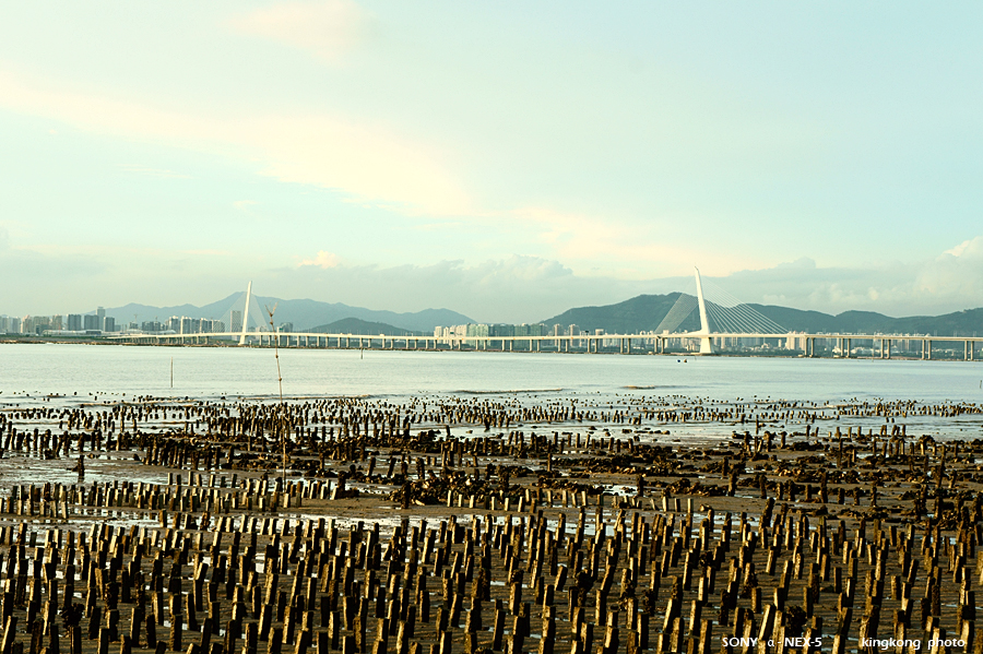 _DSC0489.JPG - SONY DSC