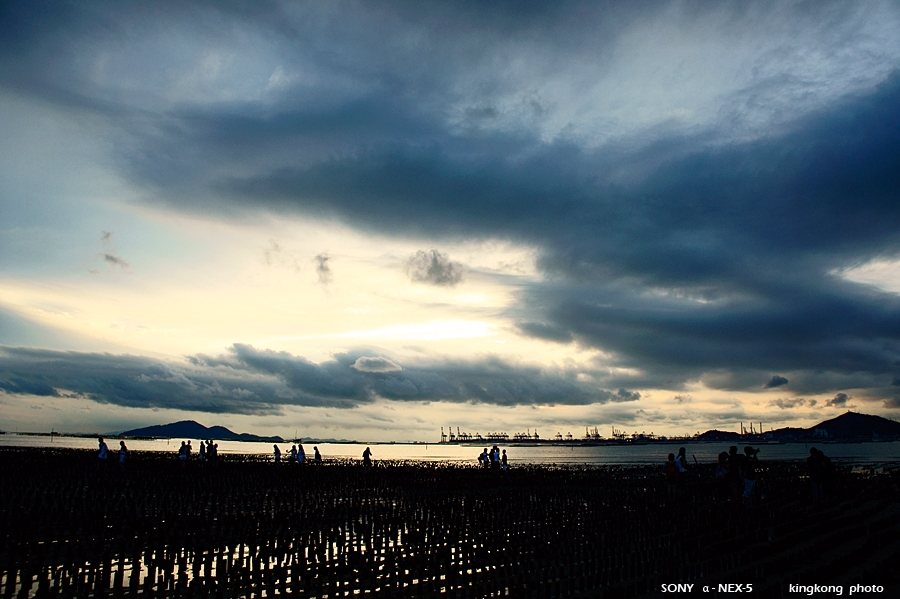 _DSC0509.JPG - SONY DSC