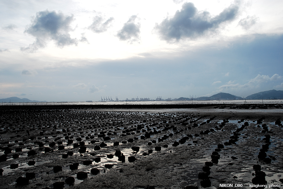 _DSC6665.JPG - 絶