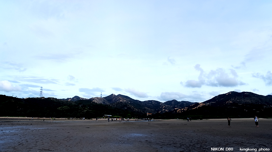 _DSC6678.JPG - 絶