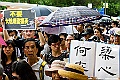 _DSC3364