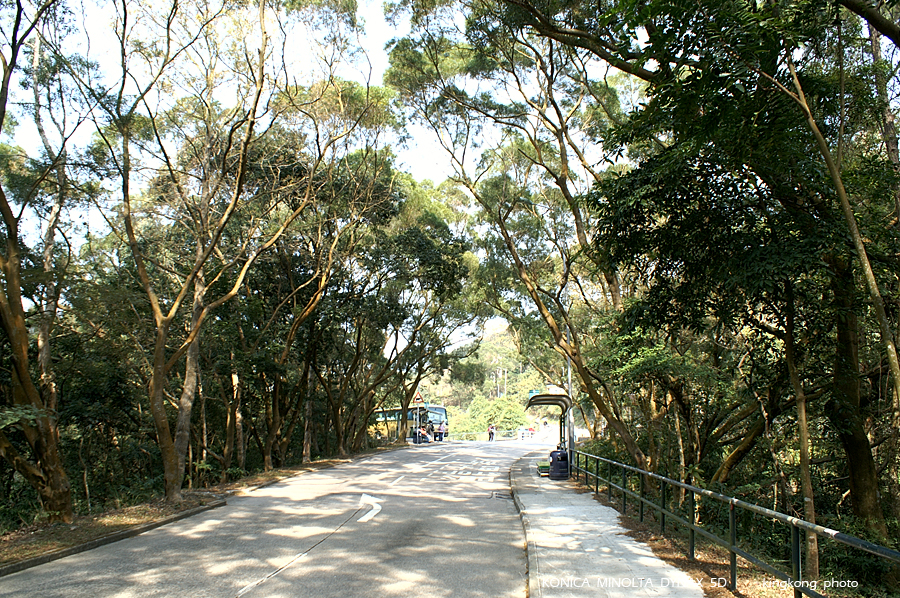 PICT3504.JPG - 大澳
