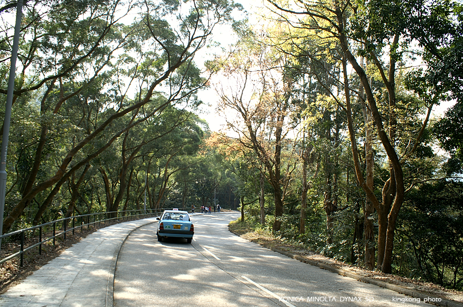 PICT3505.JPG - 大澳