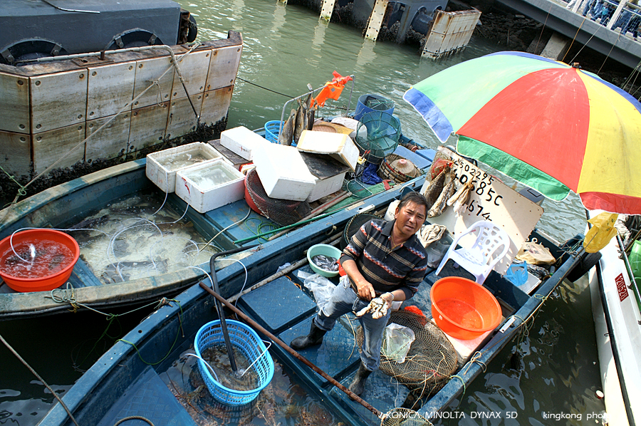 PICT3535.JPG - 大澳