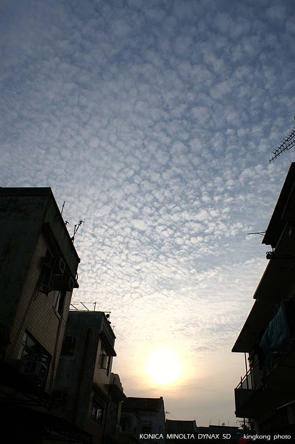 PICT3597.JPG - 大澳