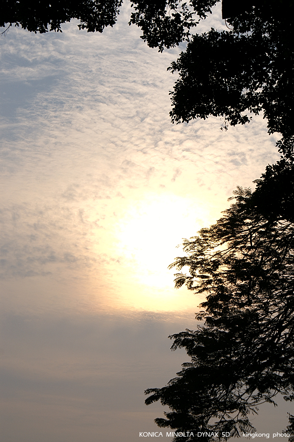 PICT3598.JPG - 大澳