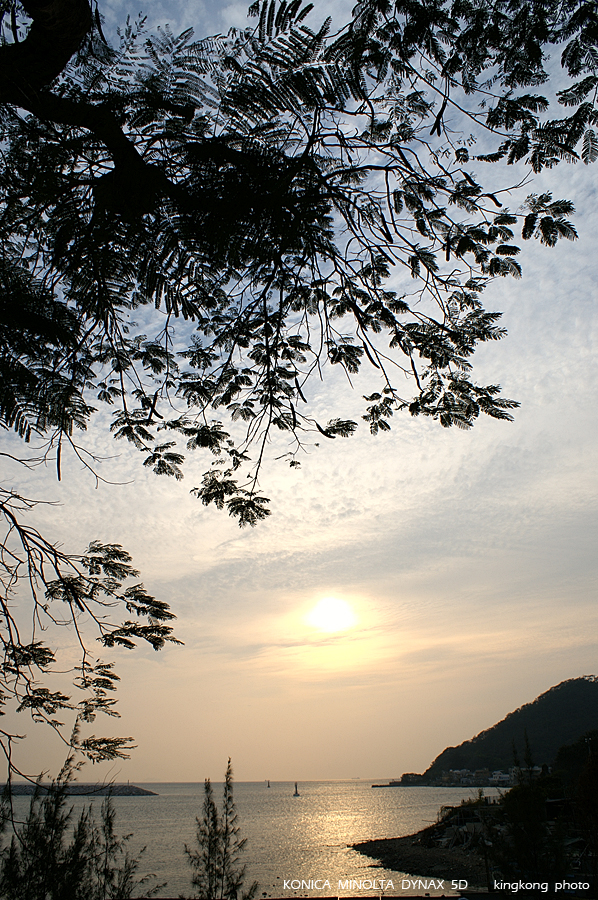 PICT3608.JPG - 大澳