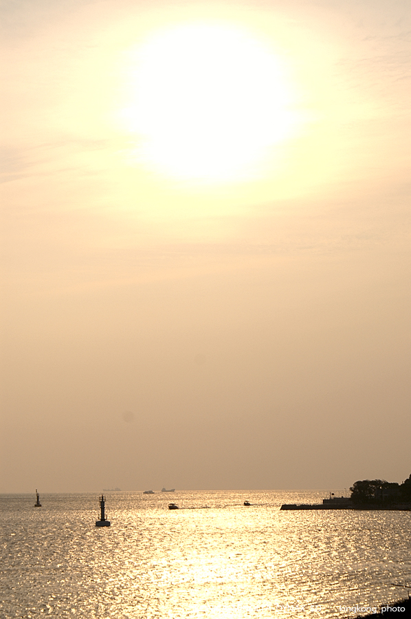 PICT3611.JPG - 大澳