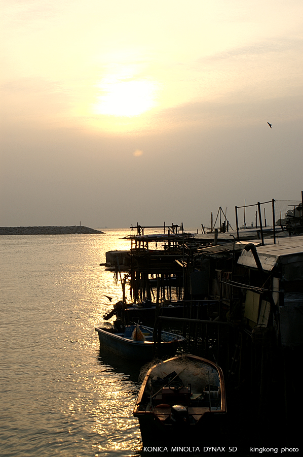 PICT3638.JPG - 大澳