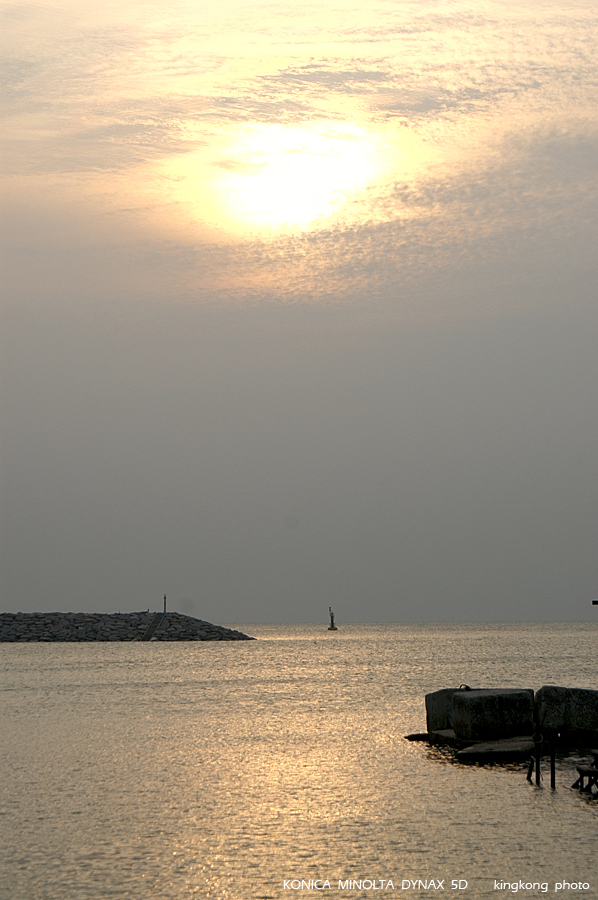 PICT3643.JPG - 大澳