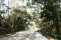 PICT3504