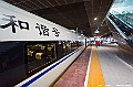 _DSC1833