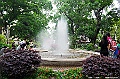 _DSC1936