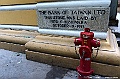 _DSC1941