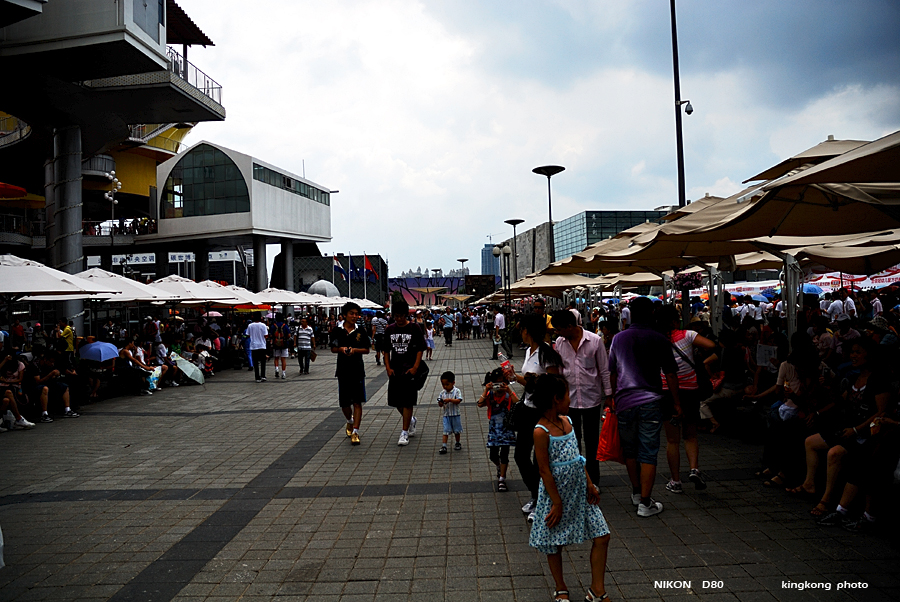 DSC_2782.jpg
