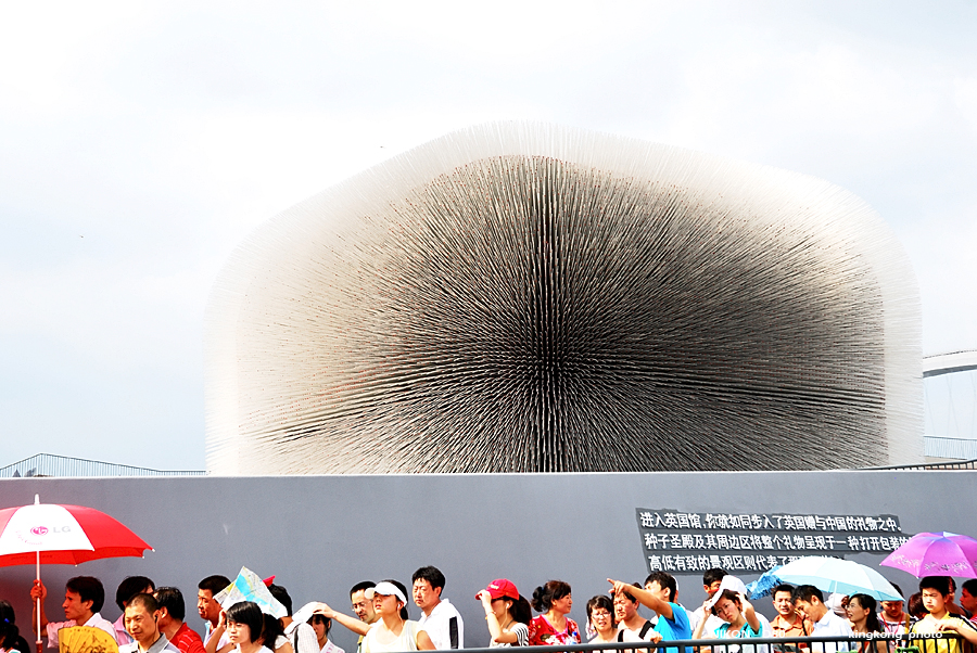 DSC_2784.jpg