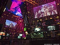IMG_0892