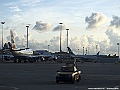 IMG_1049