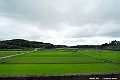 _DSC6866