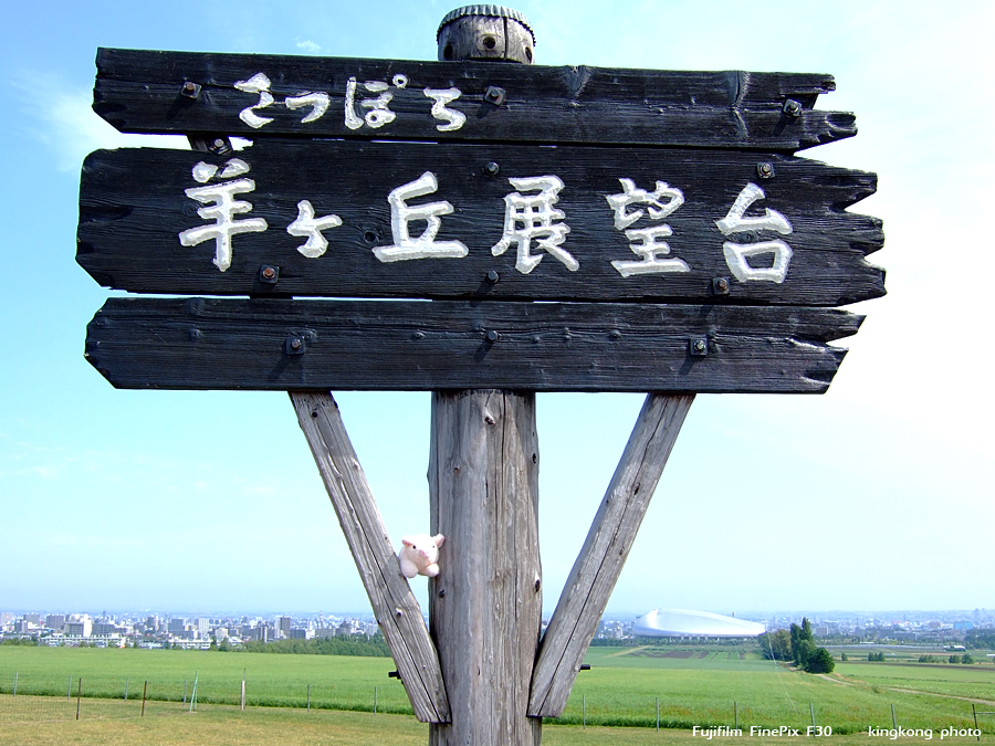 DSCF6654.jpg - 羊ヶ丘, http://www.sta.or.jp/hitsujigaoka/
