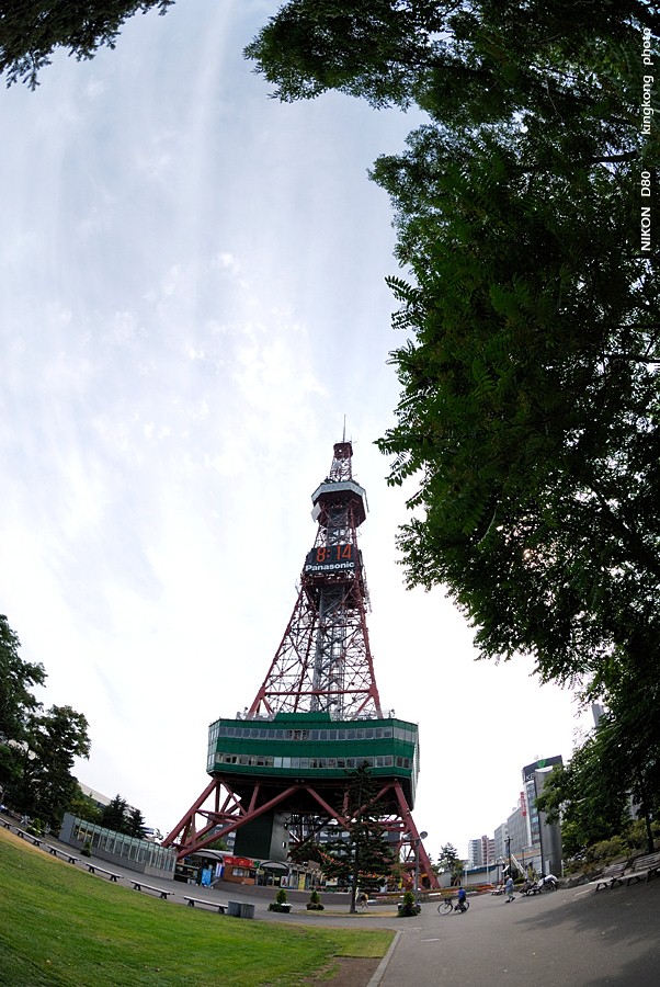 _DSC6922.JPG - 大通公園, http://www.sapporo-park.or.jp/odori/