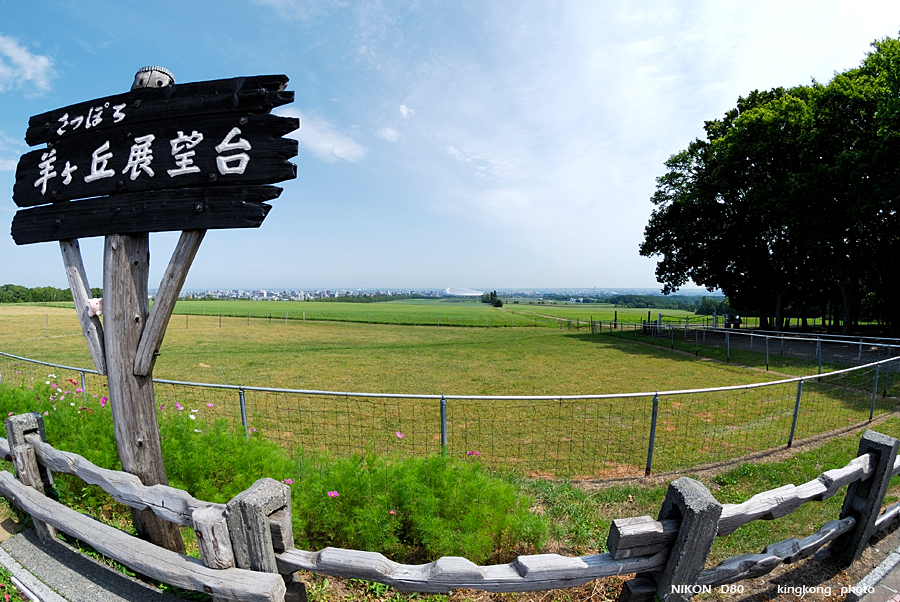 _DSC6969.JPG - 羊ヶ丘, http://www.sta.or.jp/hitsujigaoka/
