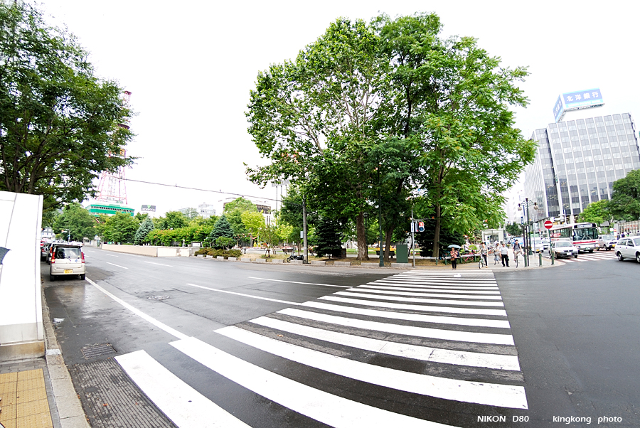 _DSC7022.JPG - 大通公園, http://www.sapporo-park.or.jp/odori/