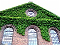 DSCF6747