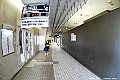_DSC6937