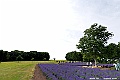 _DSC6945