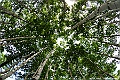 _DSC6957