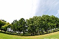 _DSC6961