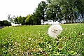 _DSC6964
