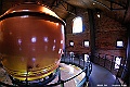 _DSC7034