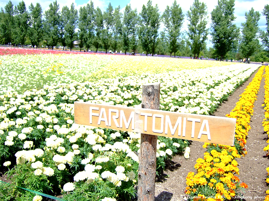 DSCF6853.jpg - FURANO, http://www.furano.ne.jp/