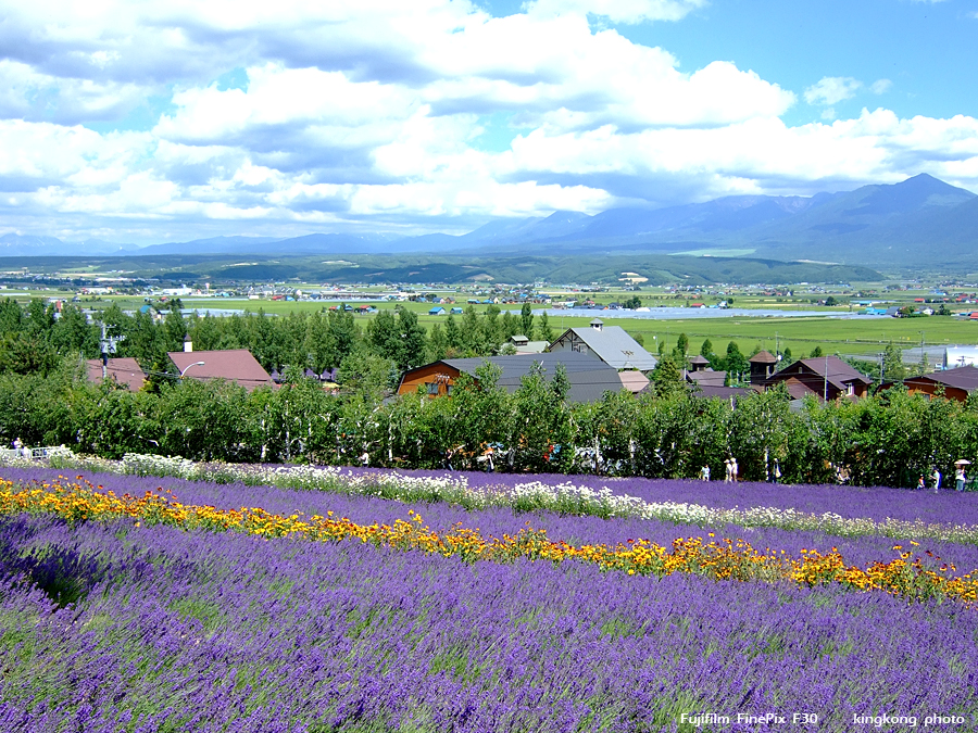 DSCF6859.jpg - FURANO, http://www.furano.ne.jp/