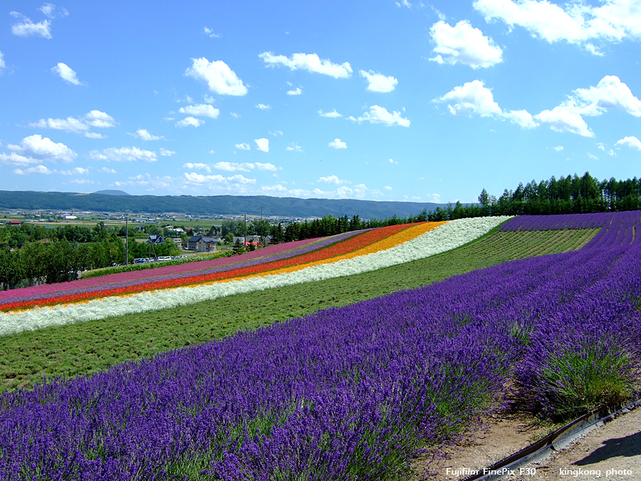 DSCF6861.jpg - FURANO, http://www.furano.ne.jp/