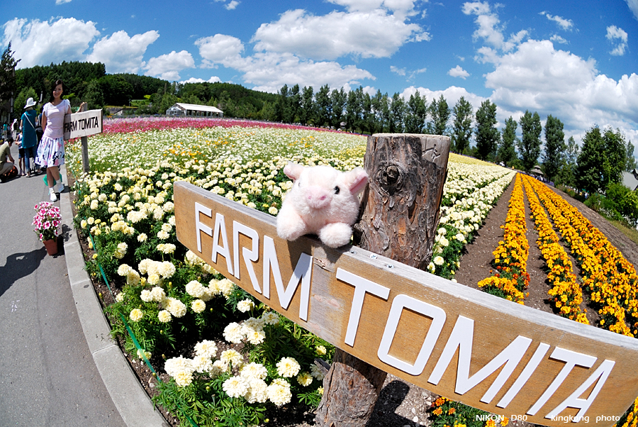 _DSC7223.JPG - Farm Tomita(富田農場), http://www.farm-tomita.co.jp/