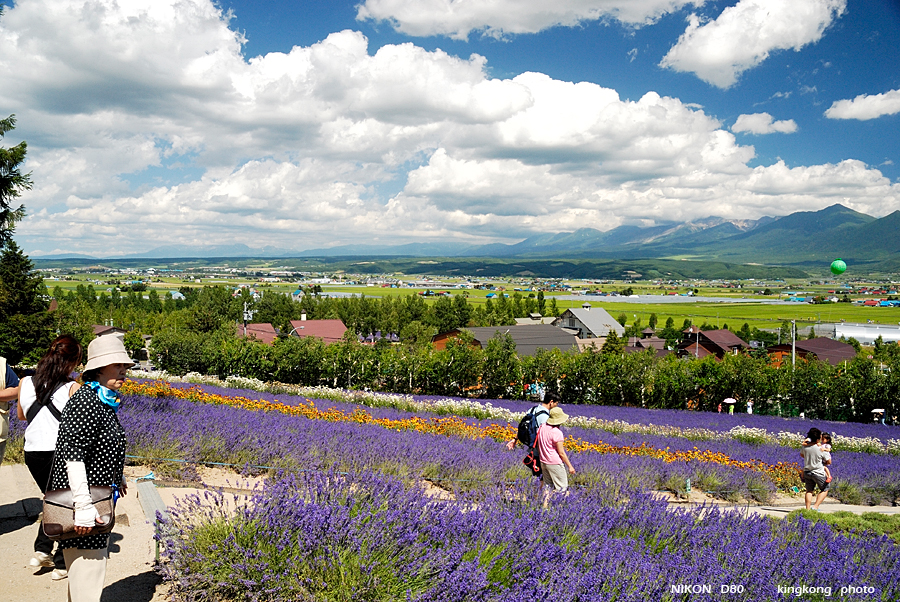 _DSC7309.JPG - Farm Tomita(富田農場), http://www.farm-tomita.co.jp/