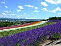 DSCF6861