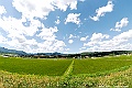 _DSC7195