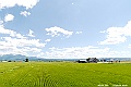 _DSC7200
