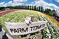 _DSC7224