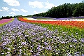 _DSC7273