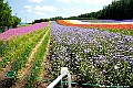 _DSC7277