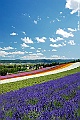_DSC7302