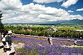 _DSC7309
