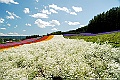 _DSC7314