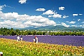 _DSC7322